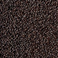 G-B500Gr